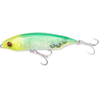 Amazon.co.jp 最新リリース: シーバス・ヒラメルアー の新着ランキング